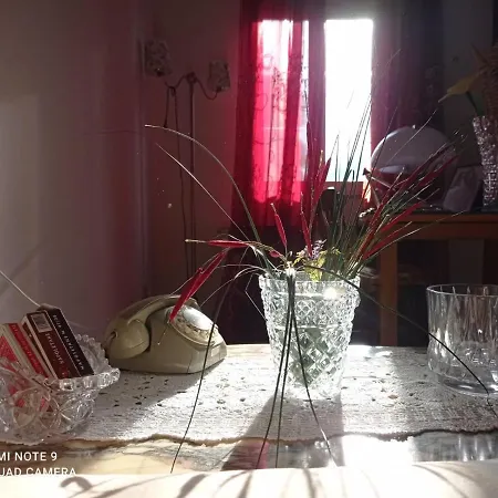 B&B Il Cactus