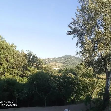 B&B Il Cactus