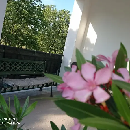 B&B Il Cactus Ripabianca (Benevento)