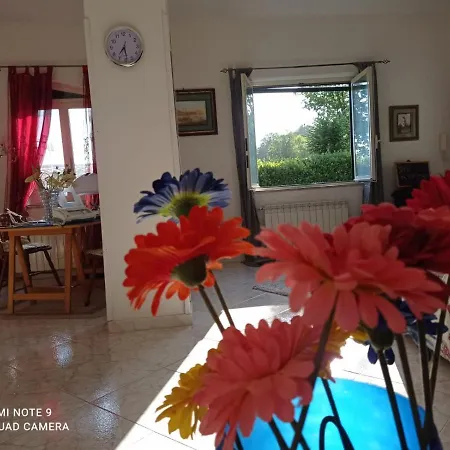 Bed & Breakfast B&B Il Cactus *